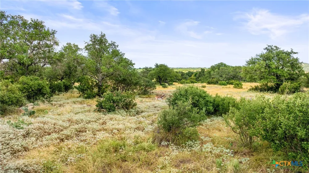 37 Vista Ridge Drive Round Mountain, TX 78663