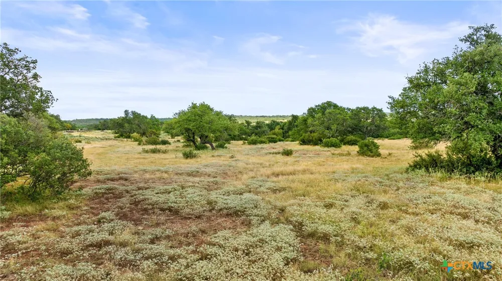 37 Vista Ridge Drive Round Mountain, TX 78663