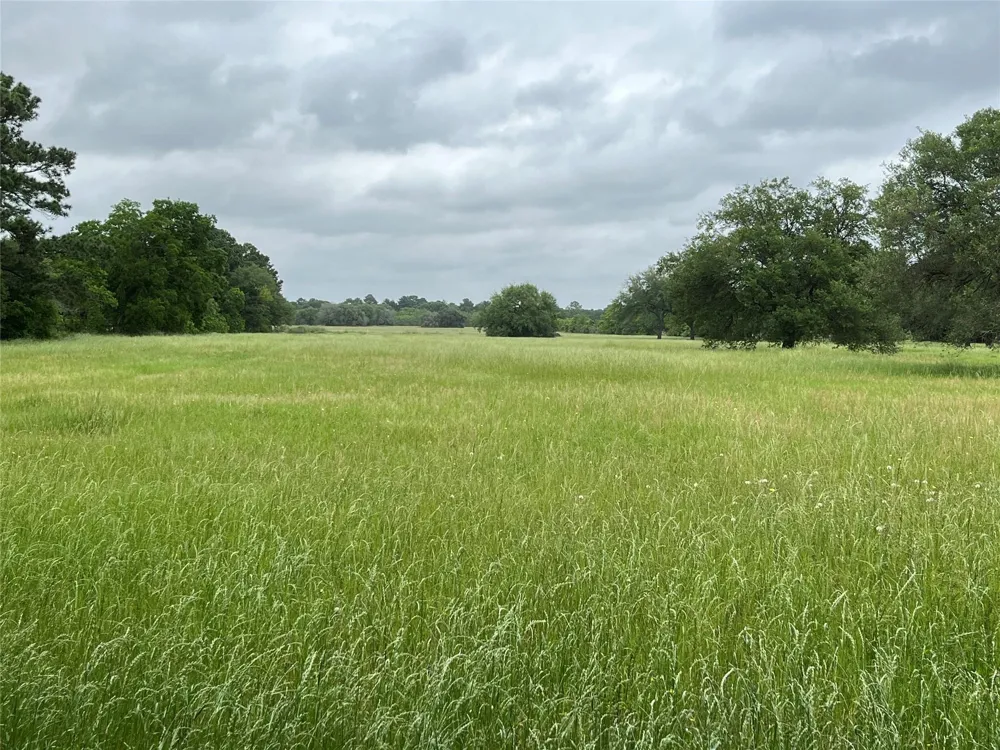 Kz Road Cypress, TX 77433