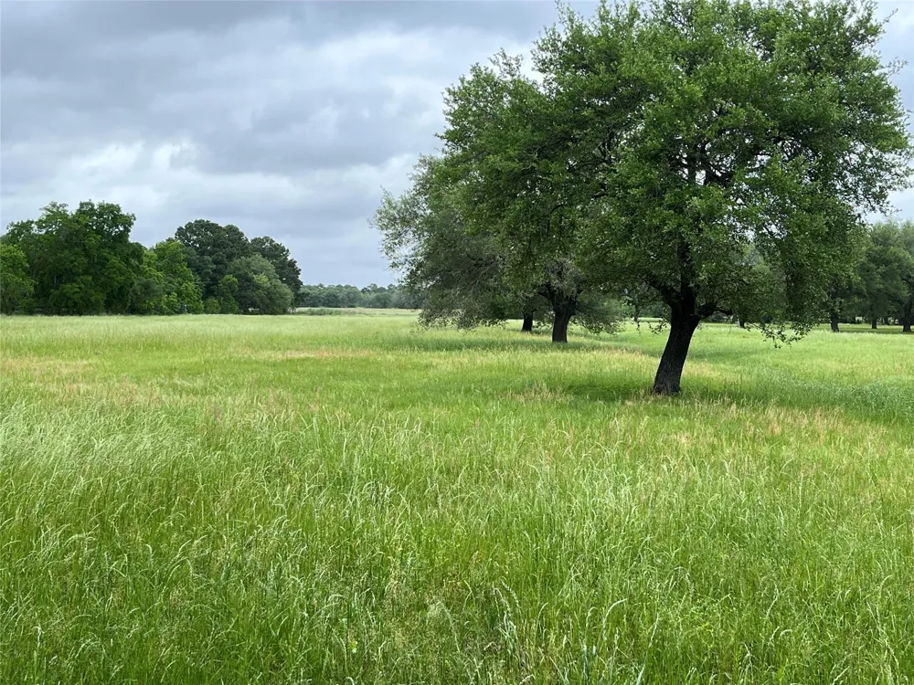 Kz Road Cypress, TX 77433