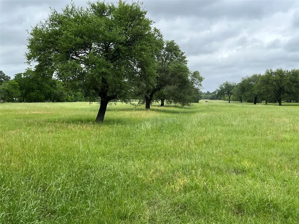 Kz Road Cypress, TX 77433