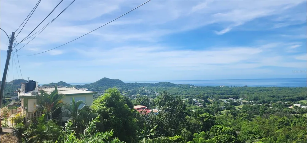 Carr. 412, Km. 4.8 CALLE PASCUAL NIEVES, BO. CALVACHE Rincon, PR 00677