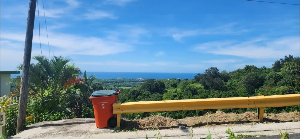 Carr. 412, Km. 4.8 CALLE PASCUAL NIEVES, BO. CALVACHE Rincon, PR 00677