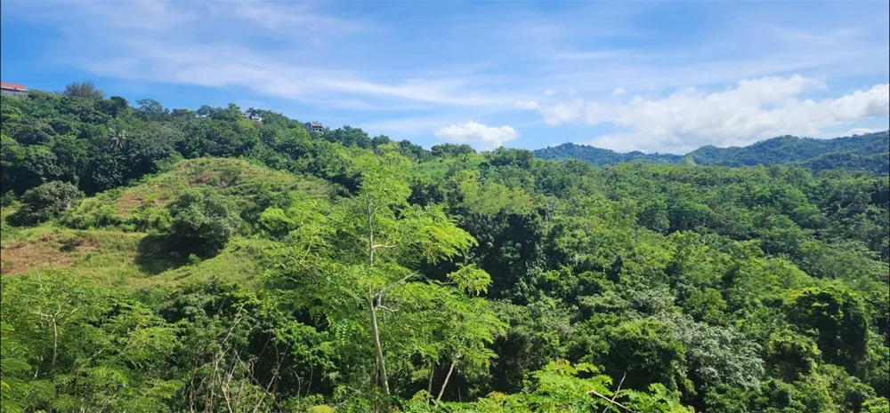 Carr. 412, Km. 4.8 CALLE PASCUAL NIEVES, BO. CALVACHE Rincon, PR 00677