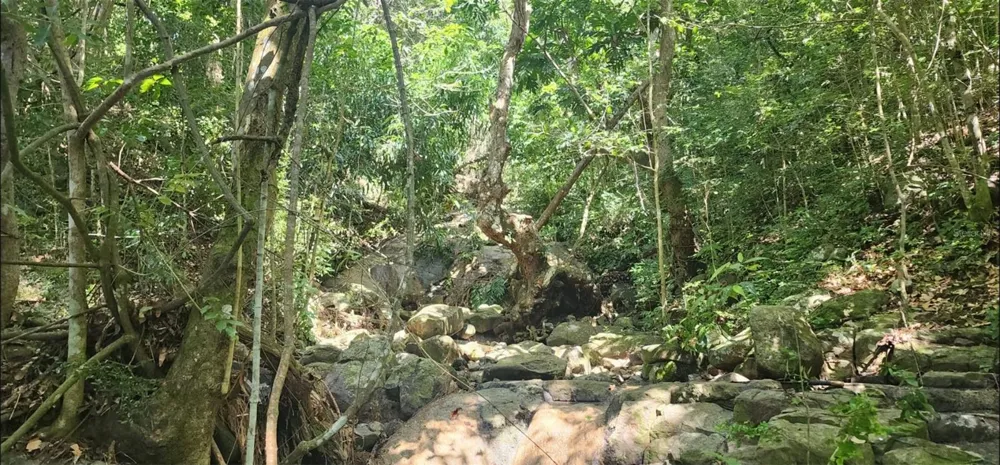Carr. 412, Km. 4.8 CALLE PASCUAL NIEVES, BO. CALVACHE Rincon, PR 00677