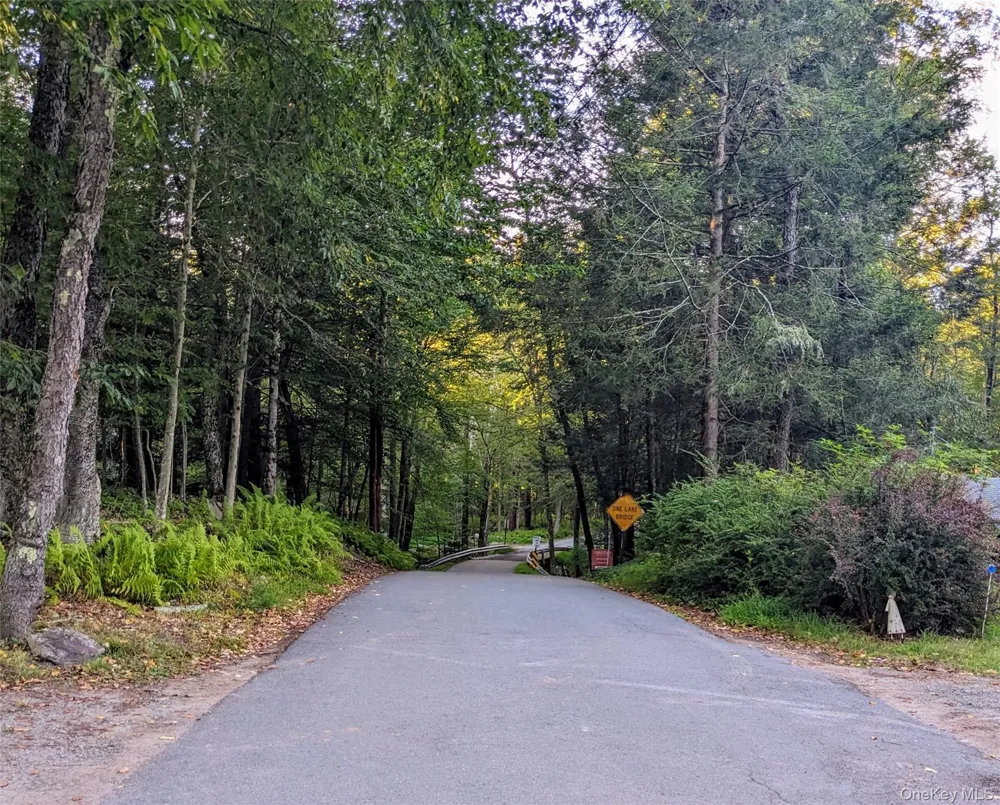 24 Mohican Trail Smallwood, NY 12778
