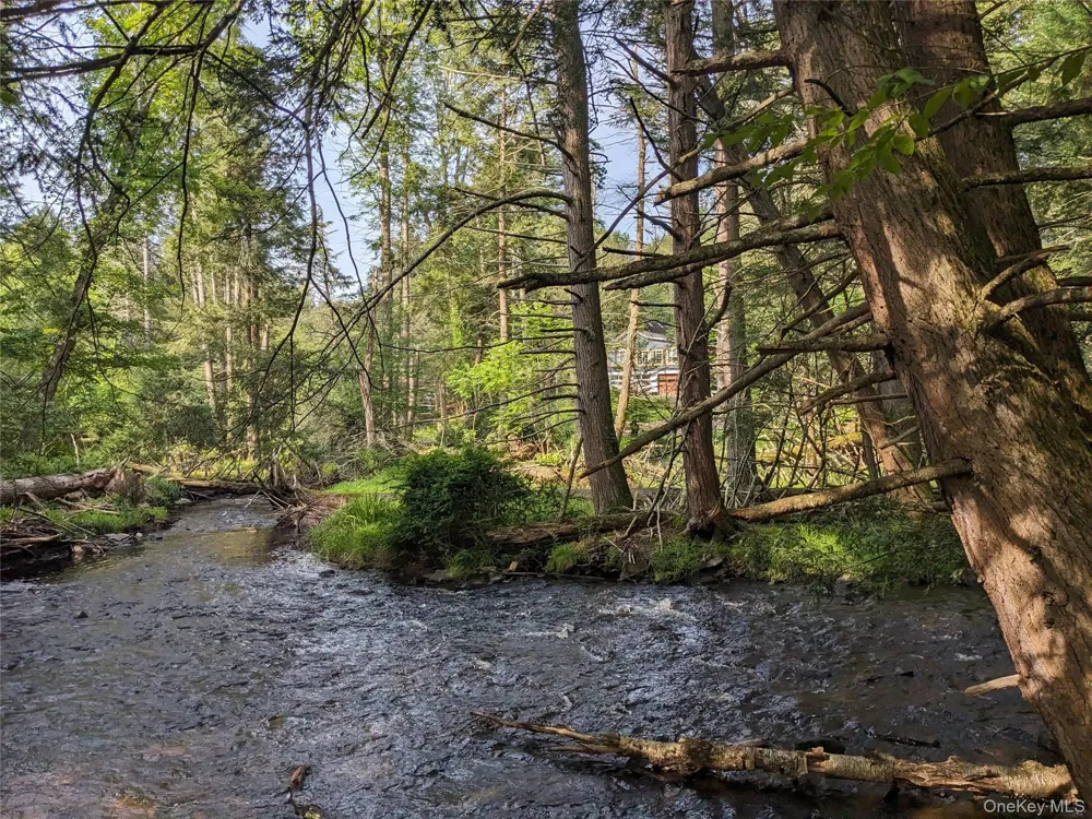 24 Mohican Trail Smallwood, NY 12778