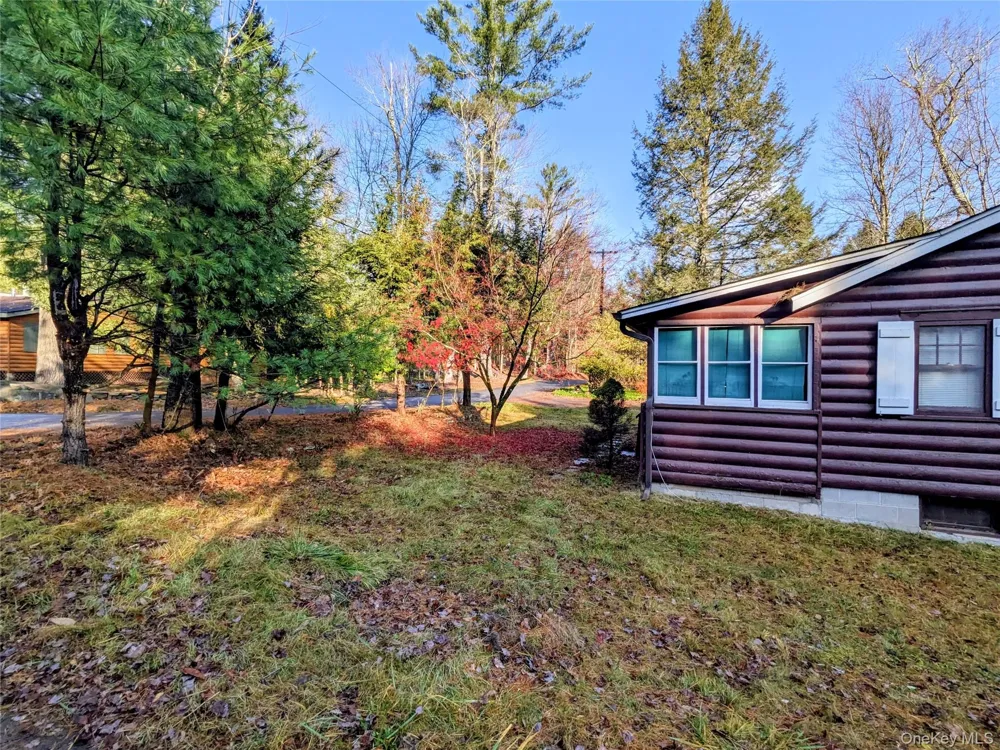 24 Mohican Trail Smallwood, NY 12778