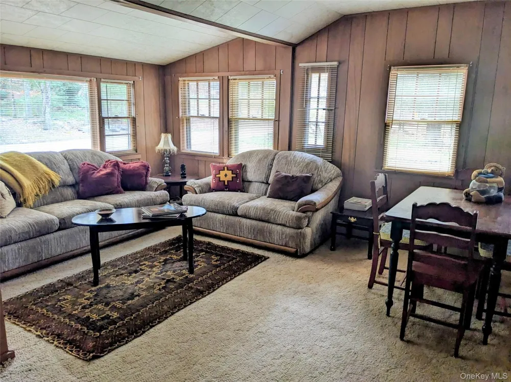 24 Mohican Trail Smallwood, NY 12778