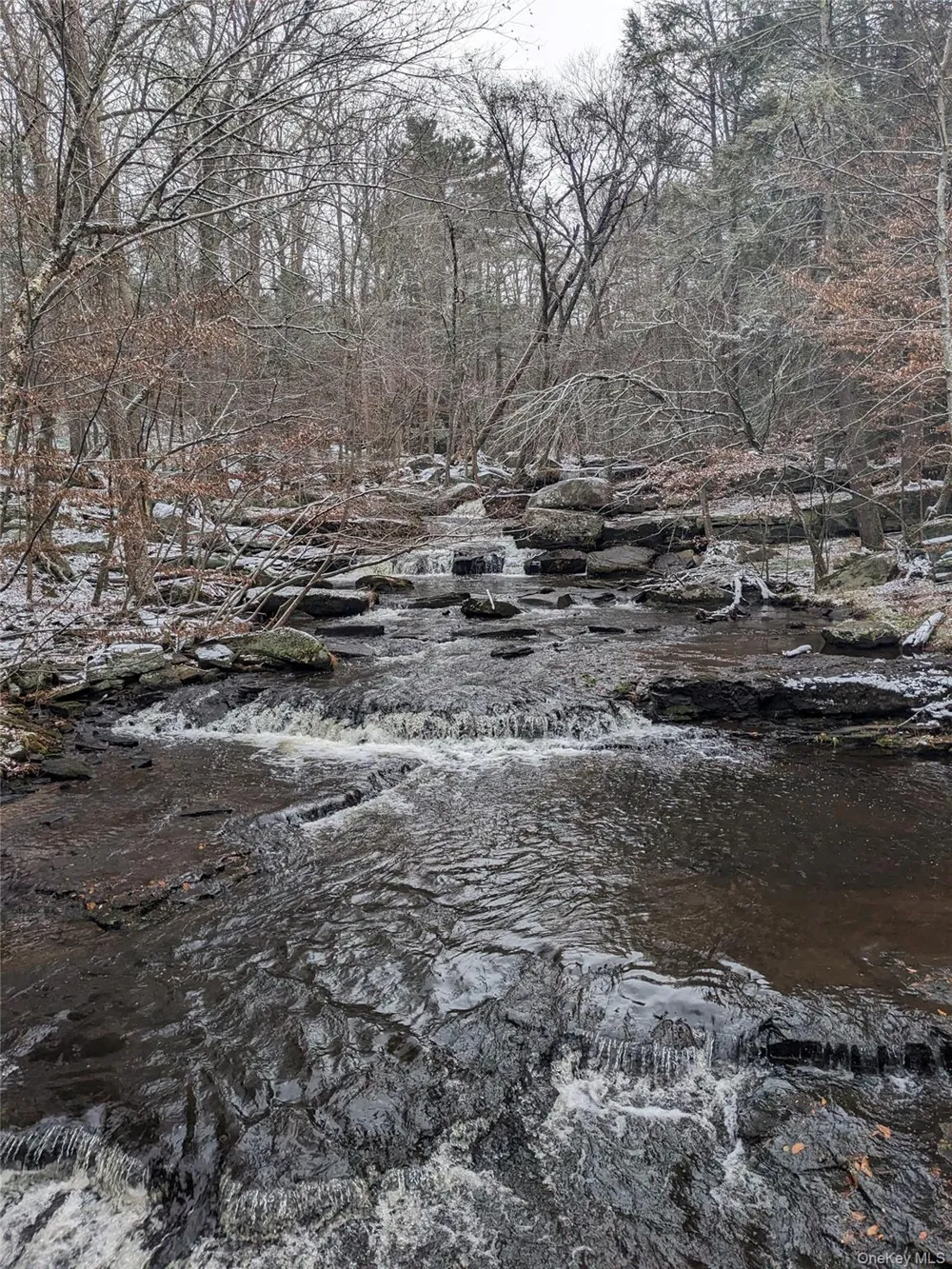 24 Mohican Trail Smallwood, NY 12778