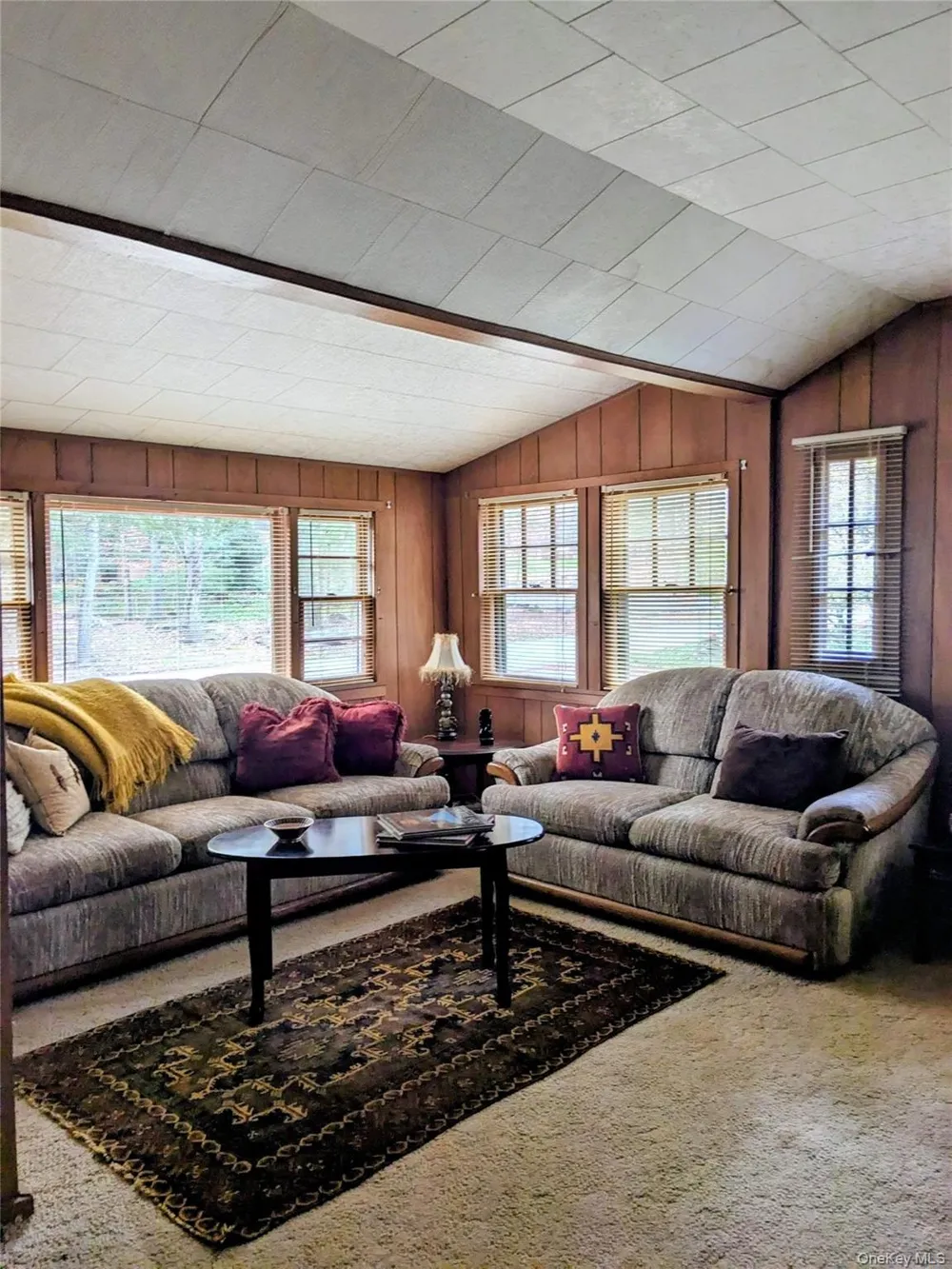 24 Mohican Trail Smallwood, NY 12778