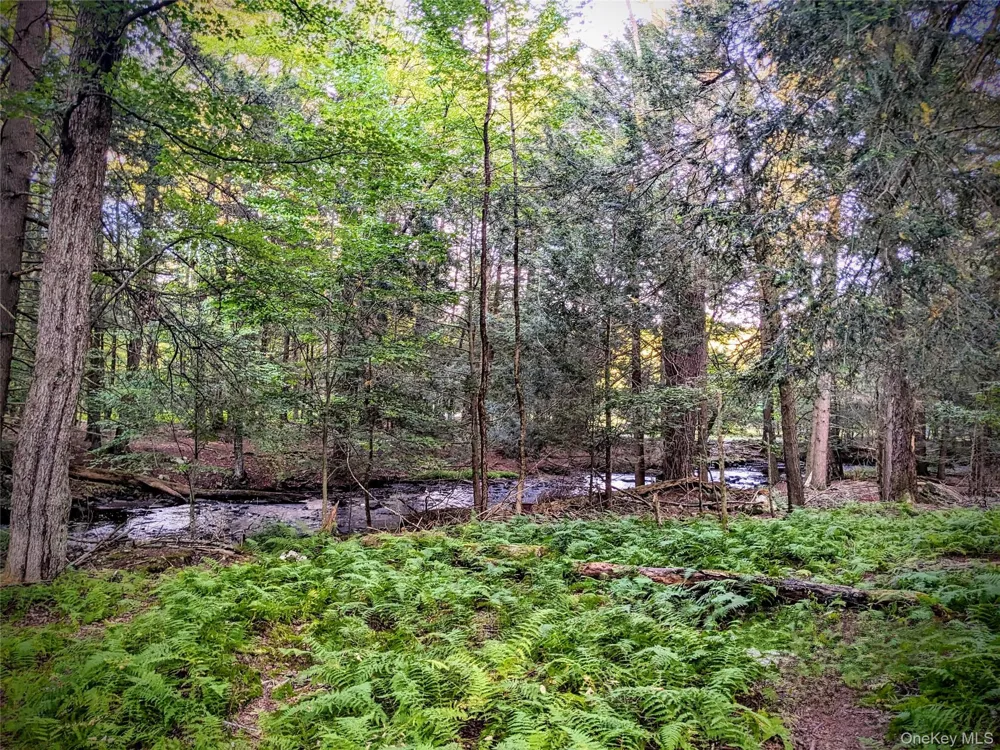 24 Mohican Trail Smallwood, NY 12778