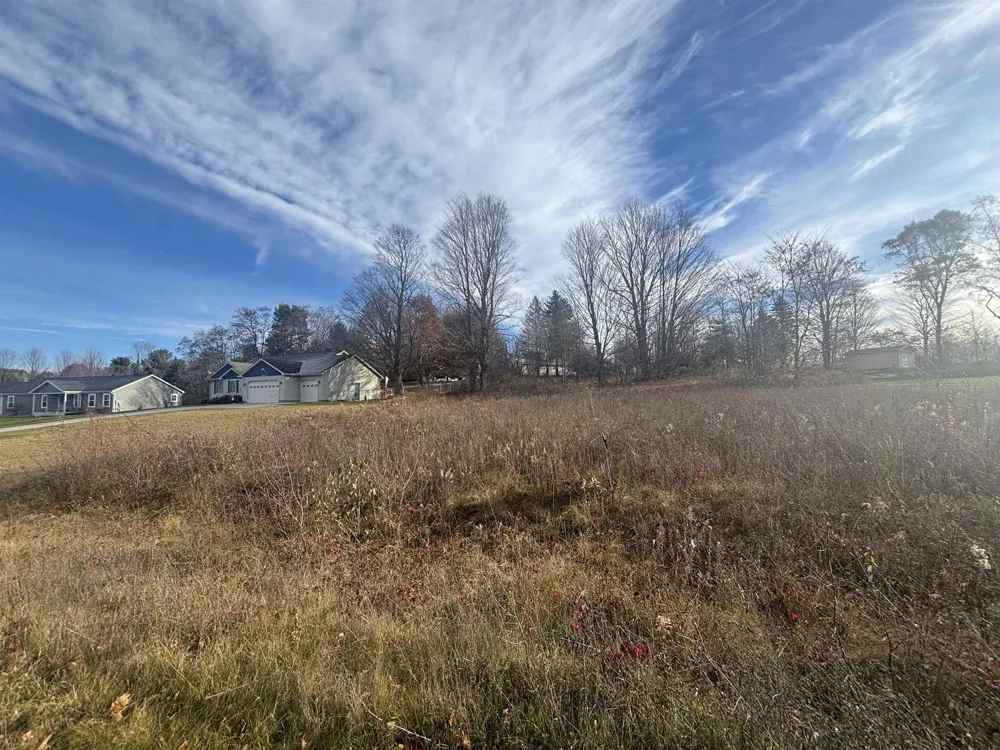 8641 Sun Bay Court Acme Township, MI 49690