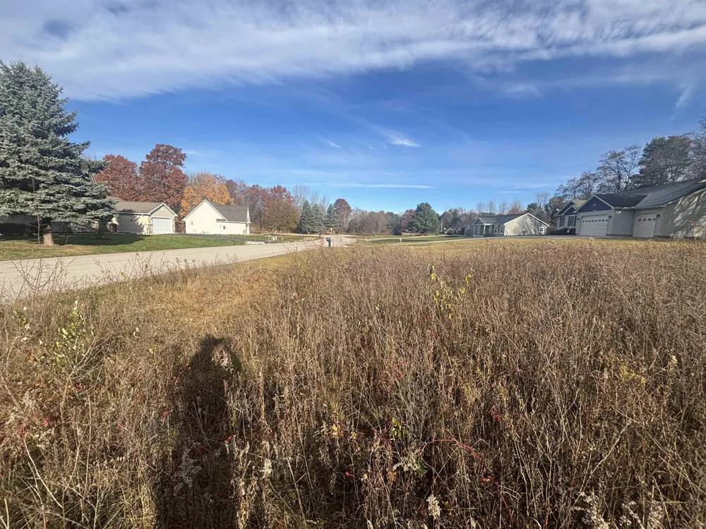 8641 Sun Bay Court Acme Township, MI 49690