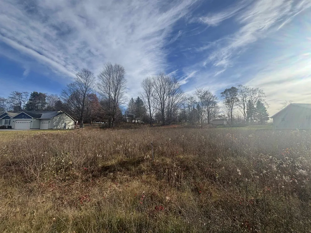 8641 Sun Bay Court Acme Township, MI 49690