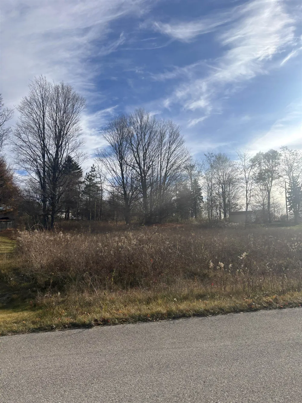 8641 Sun Bay Court Acme Township, MI 49690
