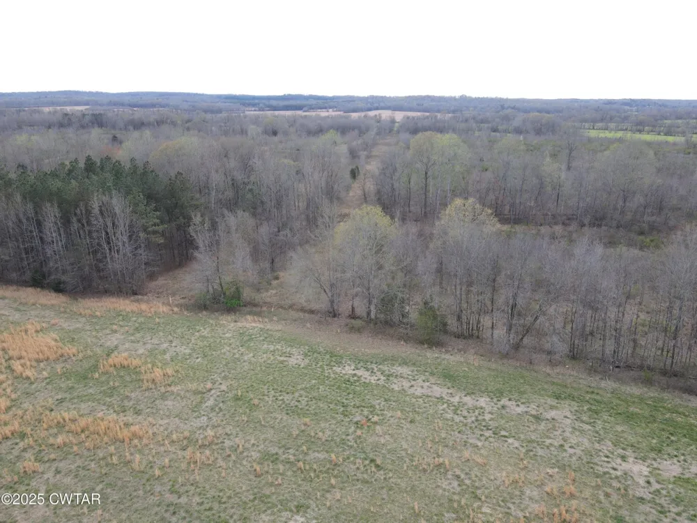 0 State Route 22A S Enville, TN 38332