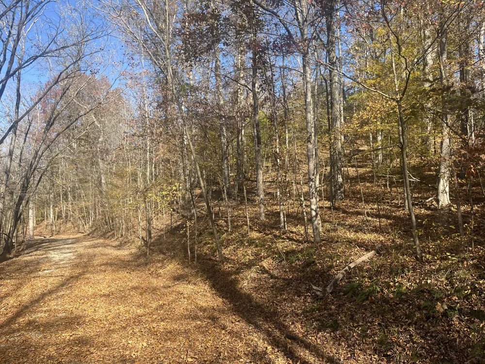 0 Arrow Head Circle Parsons, TN 38363