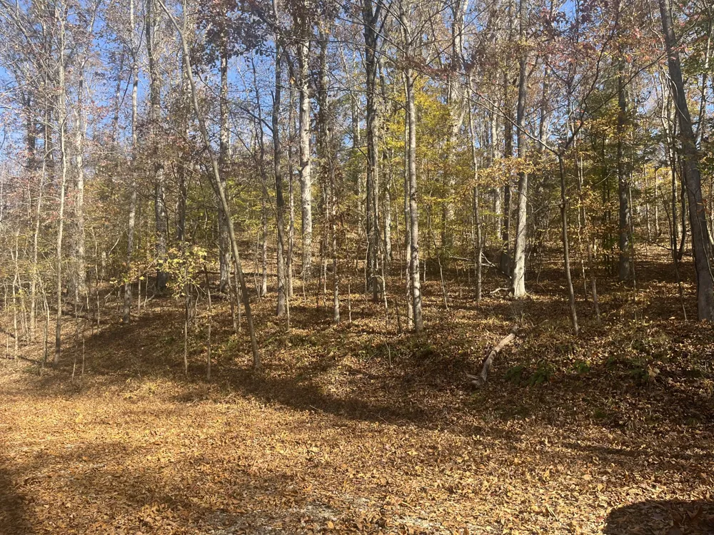 0 Arrow Head Circle Parsons, TN 38363