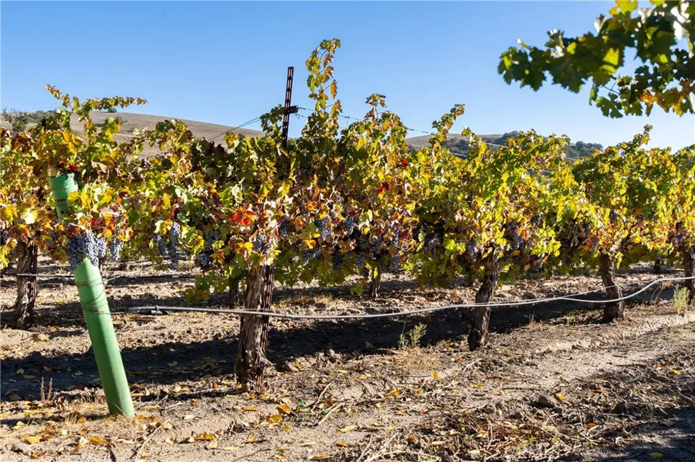 77620 Lowes Canyon Road San Miguel, CA 93451
