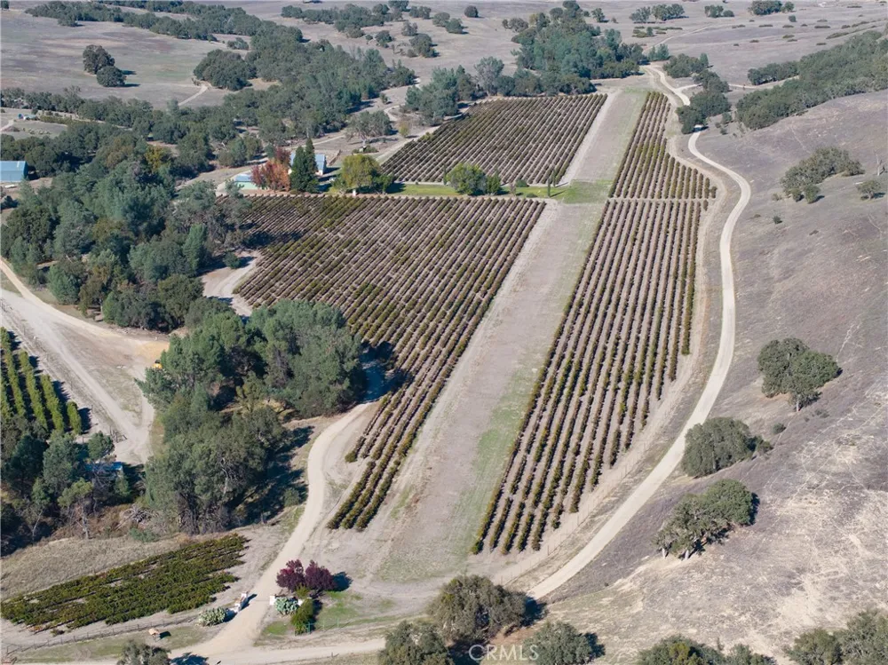 77620 Lowes Canyon Road San Miguel, CA 93451