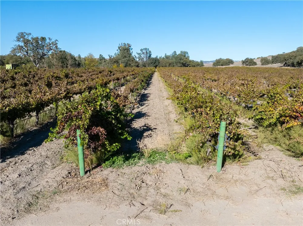 77620 Lowes Canyon Road San Miguel, CA 93451