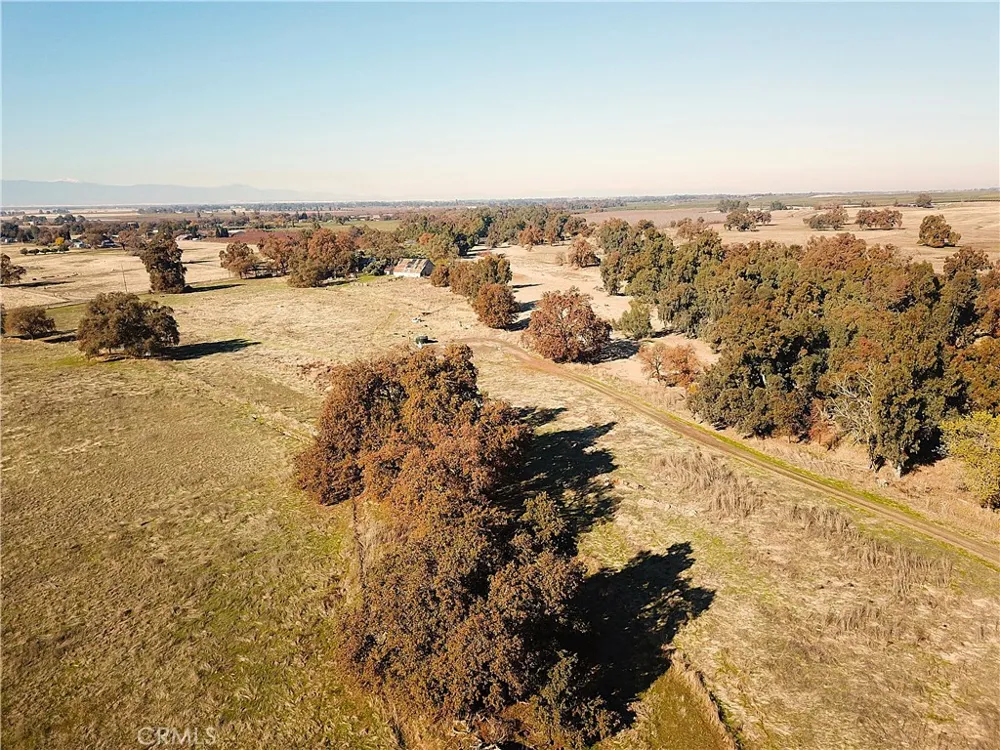 Capay Road Corning, CA 96021