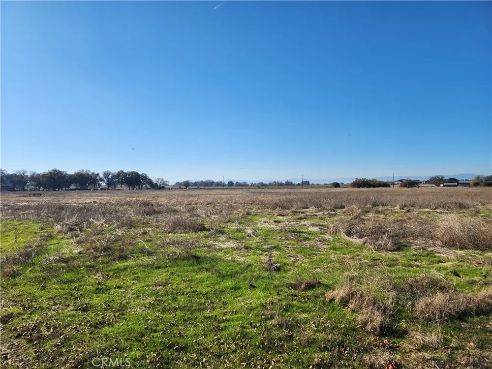 Capay Road Corning, CA 96021