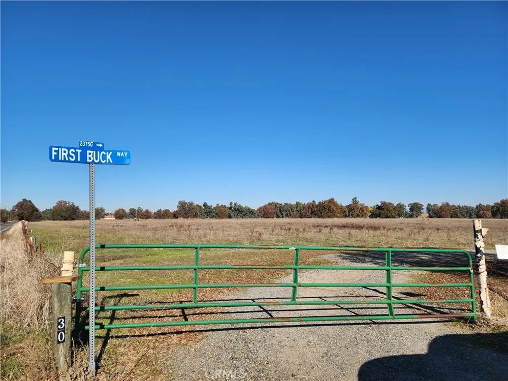 Capay Road Corning, CA 96021