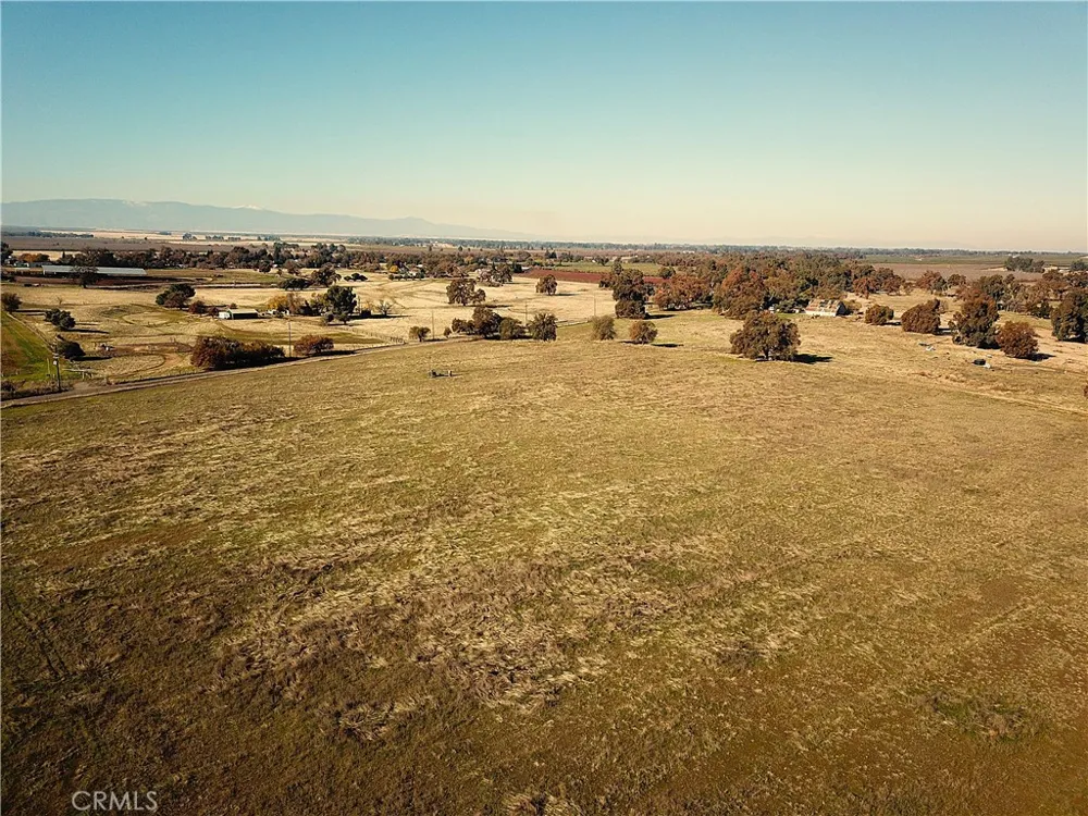 Capay Road Corning, CA 96021