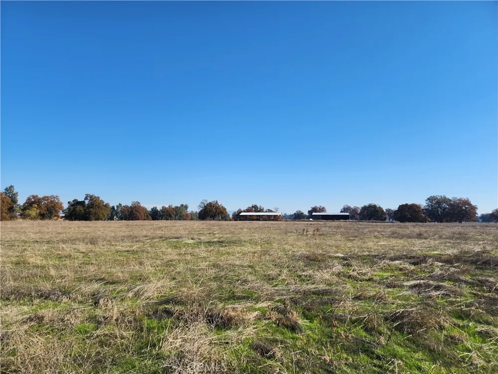 Capay Road Corning, CA 96021