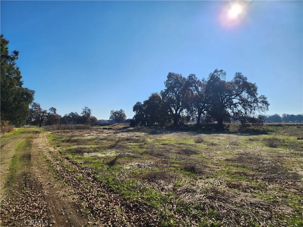 Capay Road Corning, CA 96021