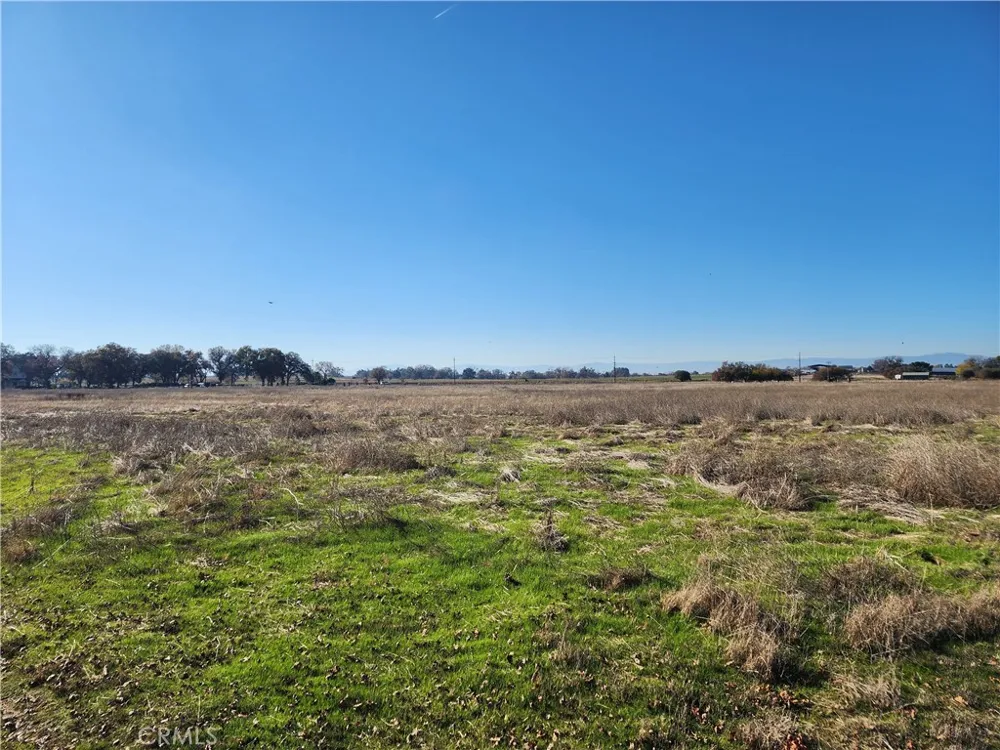 Capay Road Corning, CA 96021