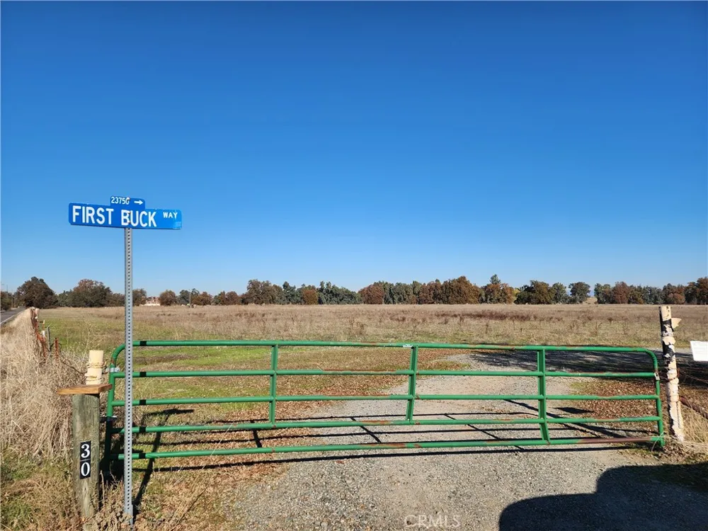 Capay Road Corning, CA 96021