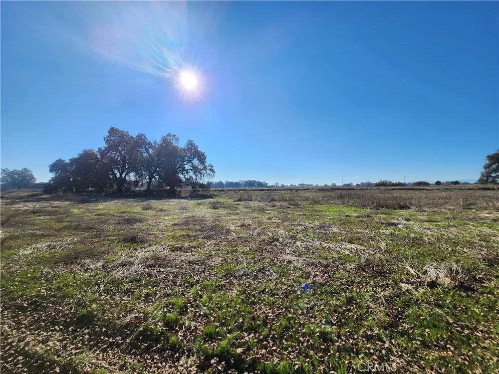 Capay Road Corning, CA 96021