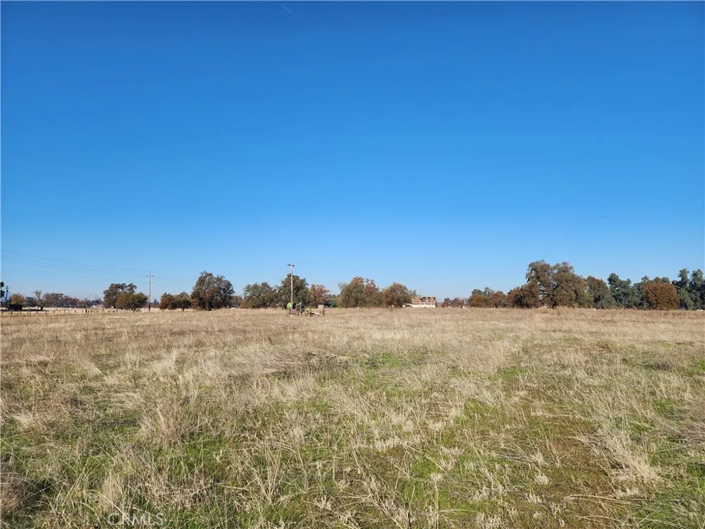 Capay Road Corning, CA 96021