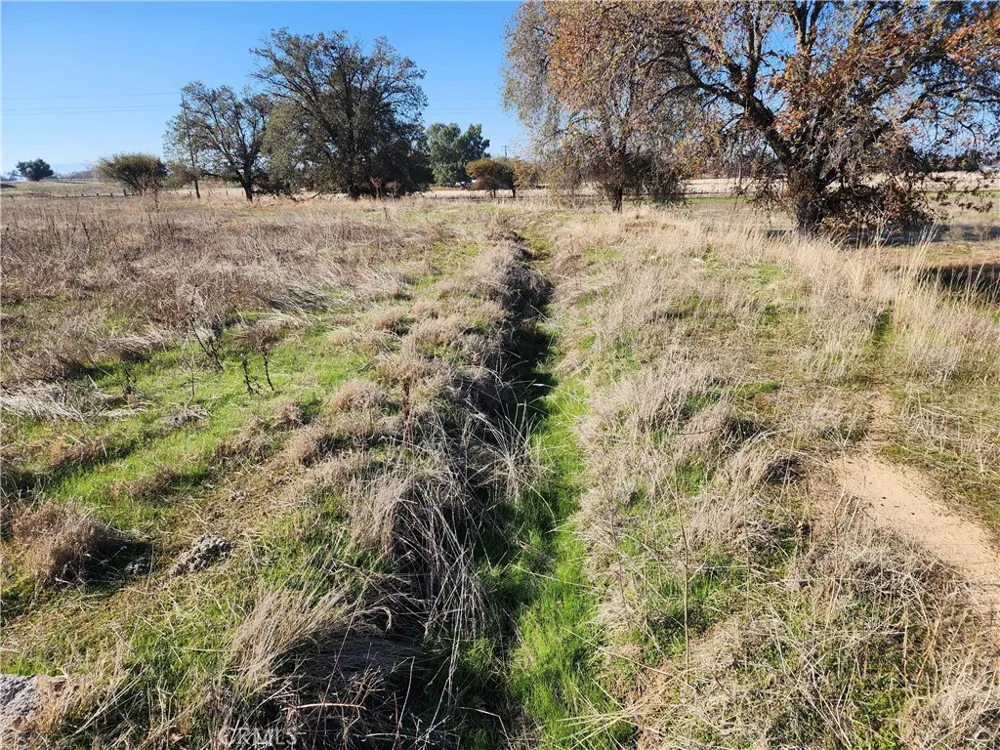 Capay Road Corning, CA 96021