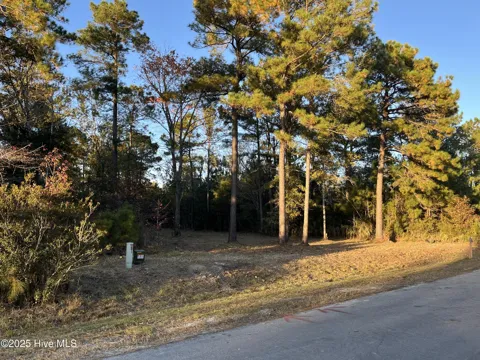625 Vandemere Creek Drive