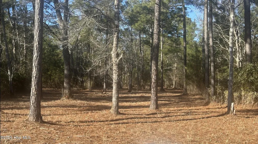 625 Vandemere Creek Drive Vandemere, NC 28587