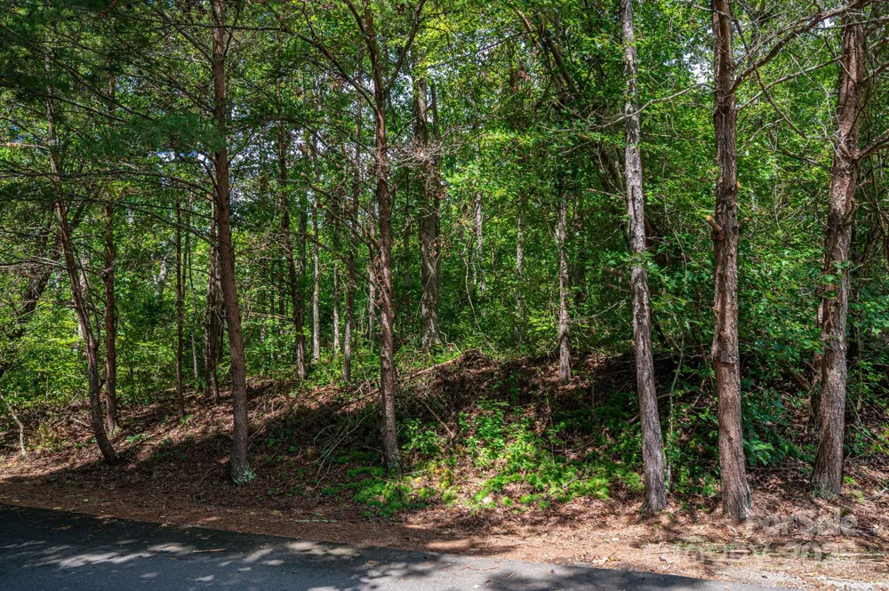 Lot 26 Line Drive Forest City, NC 28043
