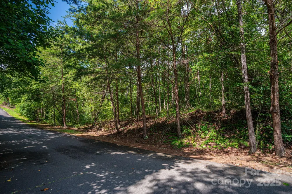 Lot 26 Line Drive Forest City, NC 28043