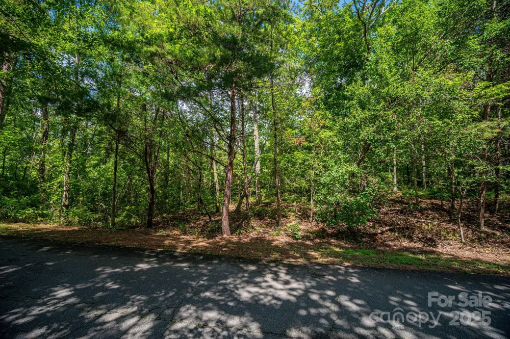 Lot 26 Line Drive Forest City, NC 28043