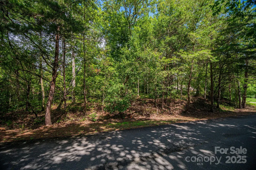 Lot 26 Line Drive Forest City, NC 28043