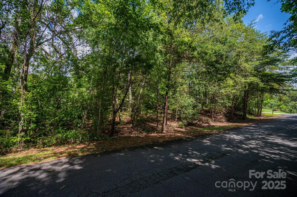 Lot 26 Line Drive Forest City, NC 28043