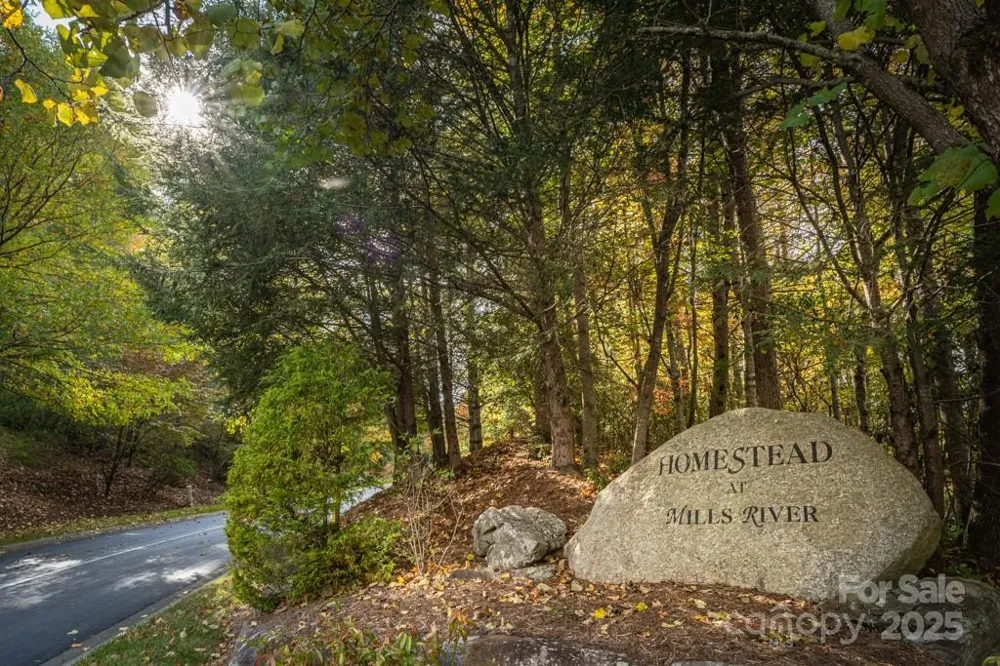99999 Shining Rock Path Horse Shoe, NC 28742