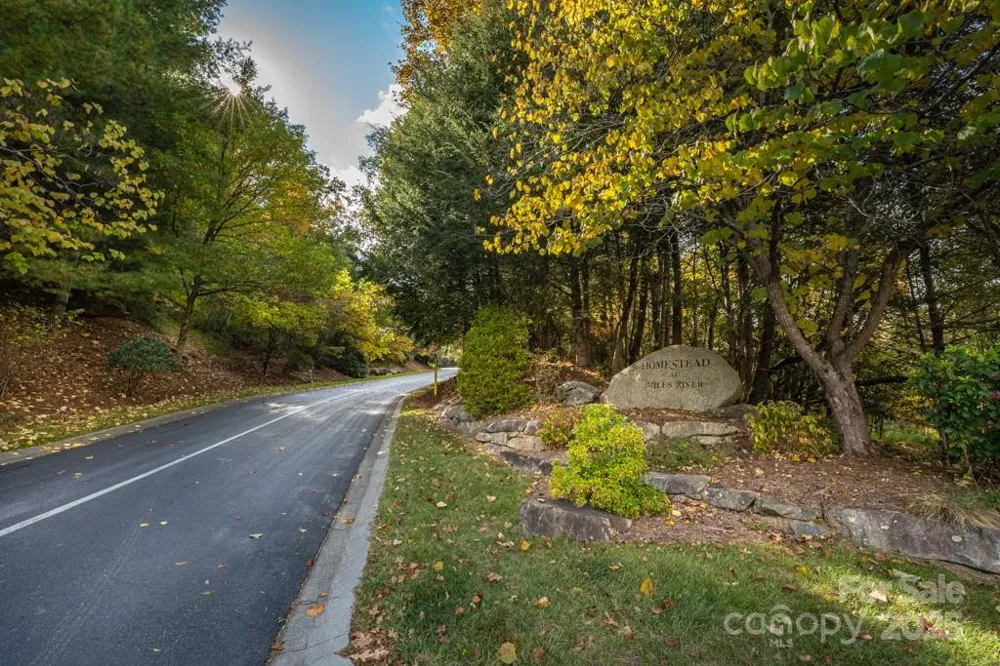 99999 Shining Rock Path Horse Shoe, NC 28742