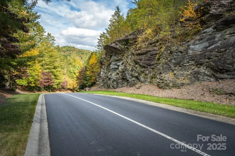 99999 Shining Rock Path Horse Shoe, NC 28742