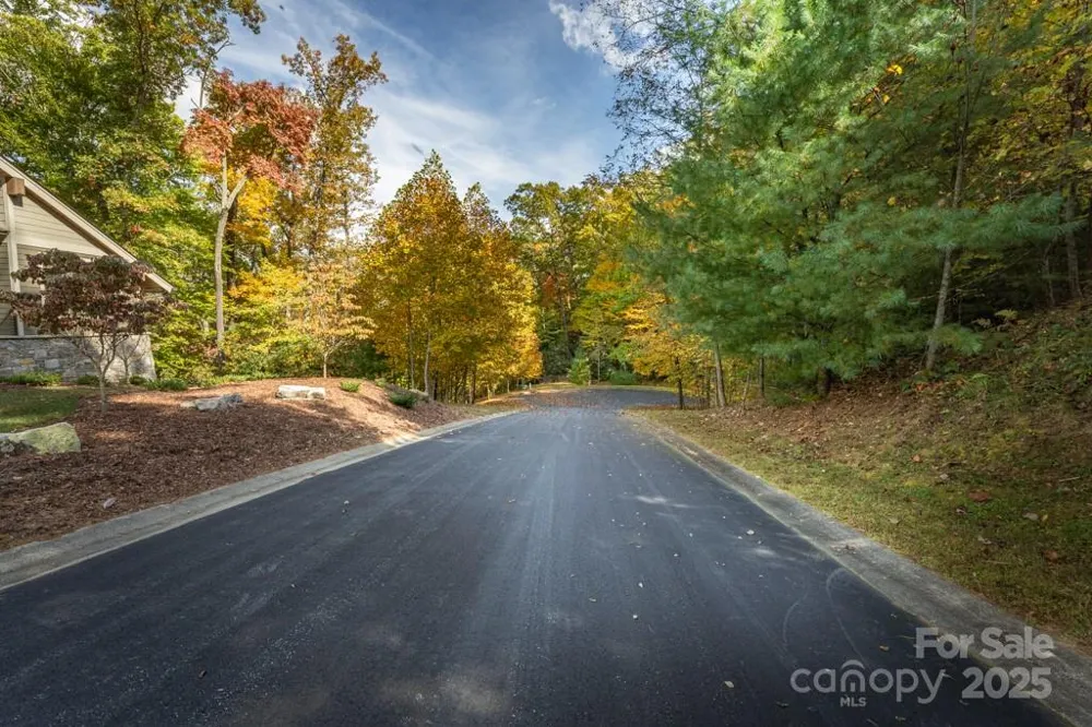99999 Shining Rock Path Horse Shoe, NC 28742