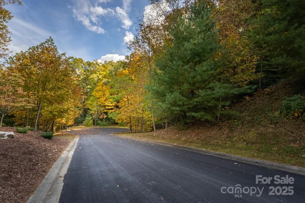 99999 Shining Rock Path Horse Shoe, NC 28742