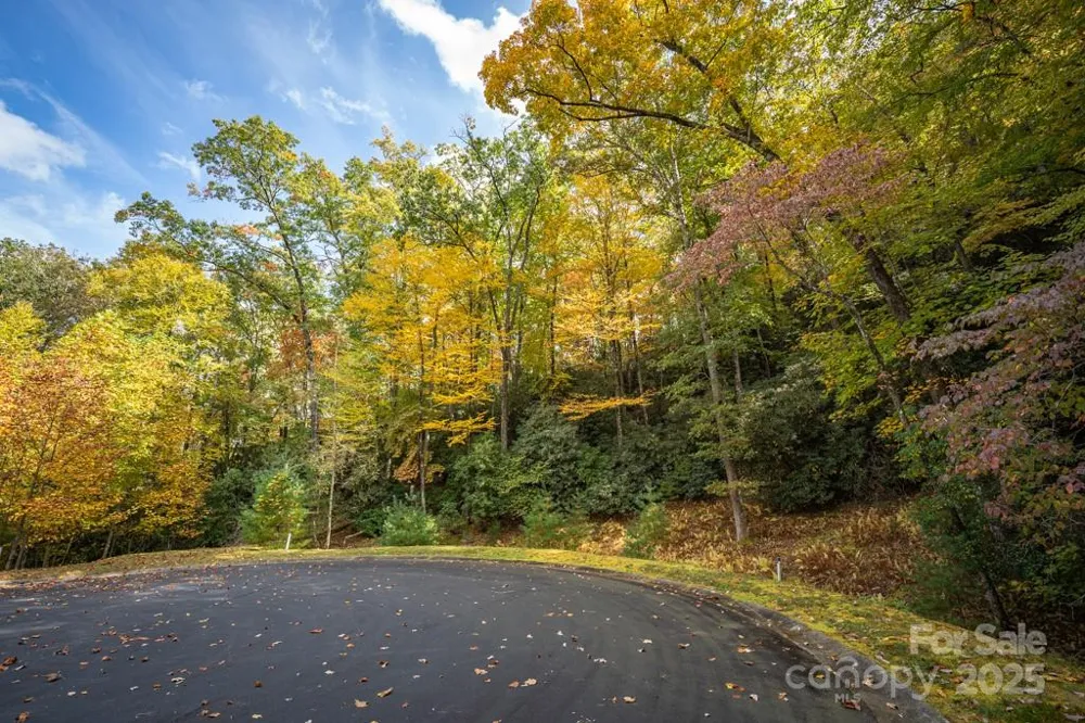 99999 Shining Rock Path Horse Shoe, NC 28742